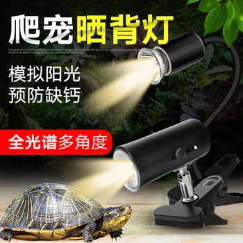 Turtle Basking Chopsticks Container Heating Lamp UVA + UVB Spectra Heating Bulb Insulated Calcium Supplement Clip Light Curved L
Turtle Basking Chopsticks Container Heating Lamp UVA + UVB Spectra Heating Bulb Insulated Calcium Supplement Clip Light Curved L