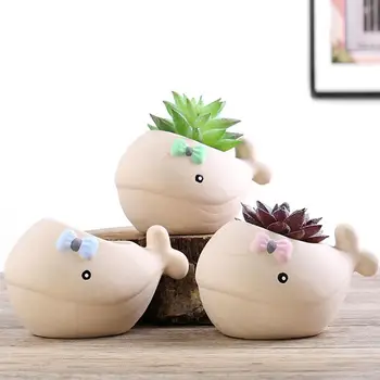3pcs Crude Pottery Flowerpot Succulent Plant Pot Breathable Decorative Flower Pot Whale Pattern Flowerpot (Mixed Style) 
3pcs Crude Pottery Flowerpot Succulent Plant Pot Breathable Decorative Flower Pot Whale Pattern Flowerpot (Mixed Style)