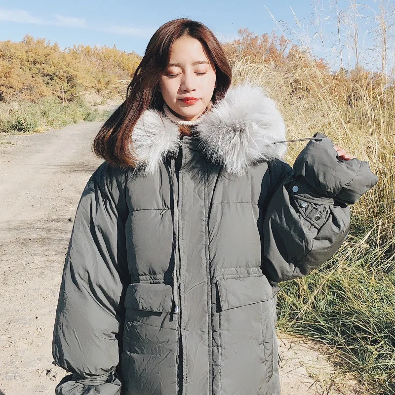 Photo Shoot Main Push CHIC Korean-style Blue Long Bell Sleeve Hooded Model Large Fur Collar down Coat Cotton Overcoat Women's
Photo Shoot Main Push CHIC Korean-style Blue Long Bell Sleeve Hooded Model Large Fur Collar down Coat Cotton Overcoat Women's