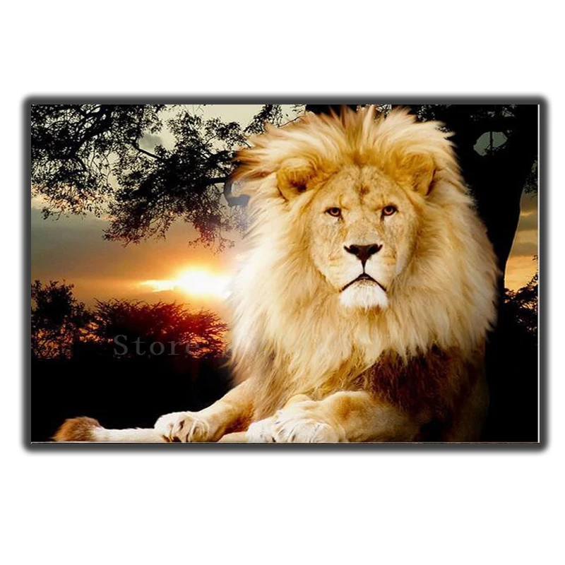 Diamond Mosaic Diy Diamond Embroidery Lion Resting In The Sunset Diamond Painting Cross Stitch Floral Rhinestone Decoration Kits
Diamond Mosaic Diy Diamond Embroidery Lion Resting In The Sunset Diamond Painting Cross Stitch Floral Rhinestone Decoration Kits
