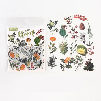 40 pcs /Pack Leaves & Mushrooms Decorative Diary Stickers Album Hand Account Decoration
40 pcs /Pack Leaves & Mushrooms Decorative Diary Stickers Album Hand Account Decoration
