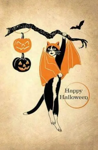 Witch Owl Broom Pumpkin Moon Black Cat Halloween Inch Tin Sign Wall Plaque Man Cave Office Shop Garden Yard Decorcrafts
Witch Owl Broom Pumpkin Moon Black Cat Halloween Inch Tin Sign Wall Plaque Man Cave Office Shop Garden Yard Decorcrafts