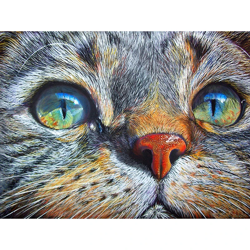 DIY Painting By Numbers Animal Cat Kit Oil Picture By Numbers Hand Painted Paintings On Canvas Home Decoration Wall Art Gift
DIY Painting By Numbers Animal Cat Kit Oil Picture By Numbers Hand Painted Paintings On Canvas Home Decoration Wall Art Gift