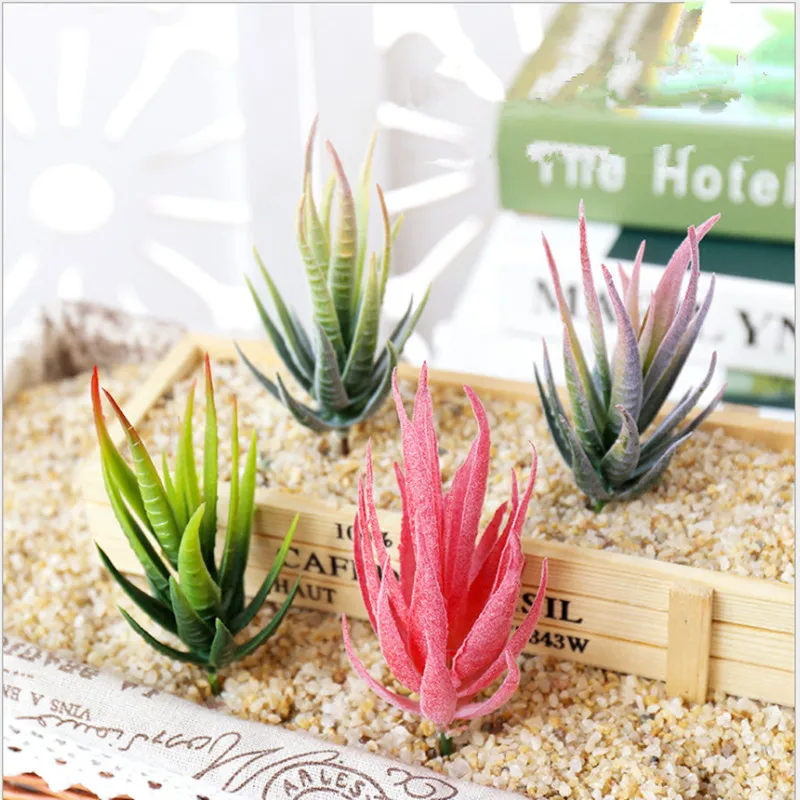 Artificial Beauty Mini Succulent Bonsai Potted Flower Bonsai For Home Garden Easy Grow Lithops Pseudotruncatella Bonsai Plants
Artificial Beauty Mini Succulent Bonsai Potted Flower Bonsai For Home Garden Easy Grow Lithops Pseudotruncatella Bonsai Plants