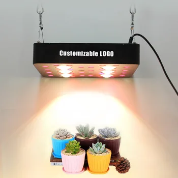 Customization Spectrum Led Plant Grow Light Professional Customization DIY Lm301b QB288 Board Hydroponic Plant Full Spectrum LED
Customization Spectrum Led Plant Grow Light Professional Customization DIY Lm301b QB288 Board Hydroponic Plant Full Spectrum LED