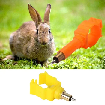 100pcs Chicken And Rabbit Automatic Nipple Drinker 20mm/25mm Pipe Diameter Rabbit Snap-on Drinker Chicken Feeding Tool
100pcs Chicken And Rabbit Automatic Nipple Drinker 20mm/25mm Pipe Diameter Rabbit Snap-on Drinker Chicken Feeding Tool