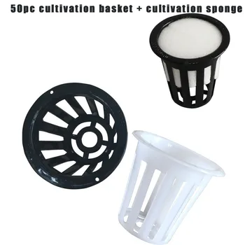 50Pcs hydroponics planting net pot net cup basket hydroponic aerial planting planting clone nursery plant soilless
50Pcs hydroponics planting net pot net cup basket hydroponic aerial planting planting clone nursery plant soilless