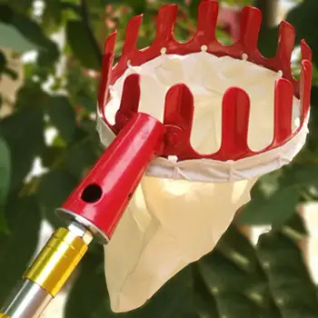 Red Portable Creative Fruit Picker Pruning Tools Fruit Catcher Collector Outside Hand Tool Yard Without Pole Device
Red Portable Creative Fruit Picker Pruning Tools Fruit Catcher Collector Outside Hand Tool Yard Without Pole Device