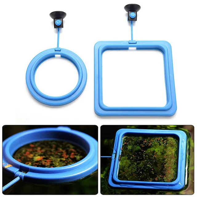 Small Tropical Fish Feeding Ring Small Goldfish Feeding Ring Aquarium Feeding Ring
Small Tropical Fish Feeding Ring Small Goldfish Feeding Ring Aquarium Feeding Ring