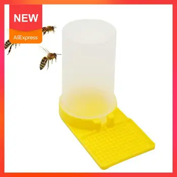 Beekeeping Beehive Water Feeder Bee Drinking Nest Entrance Beekeeper Cup Tool Drinking Nest Beekeeper Tool Farm Beekeeper
Beekeeping Beehive Water Feeder Bee Drinking Nest Entrance Beekeeper Cup Tool Drinking Nest Beekeeper Tool Farm Beekeeper