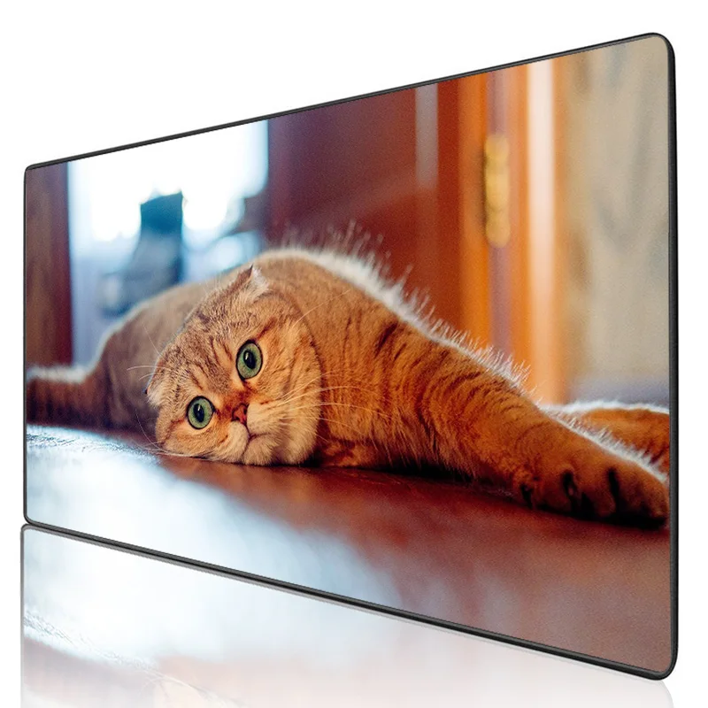 Mairuige Animal Large Mouse Pad Cute Cat Mouse Pad Computer Game Accessories Notebook Office Keyboard Kawaii Mouse Pad Desk Mat
Mairuige Animal Large Mouse Pad Cute Cat Mouse Pad Computer Game Accessories Notebook Office Keyboard Kawaii Mouse Pad Desk Mat