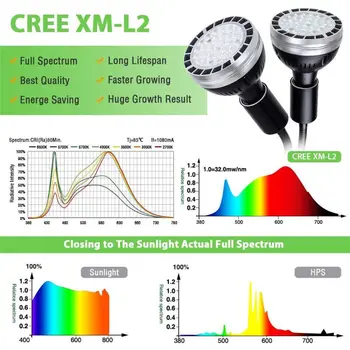 PAR30 Dual Head Flexible LED Grow Light for Indoor Plants Sunlike Full Spectrum Q0KF
PAR30 Dual Head Flexible LED Grow Light for Indoor Plants Sunlike Full Spectrum Q0KF