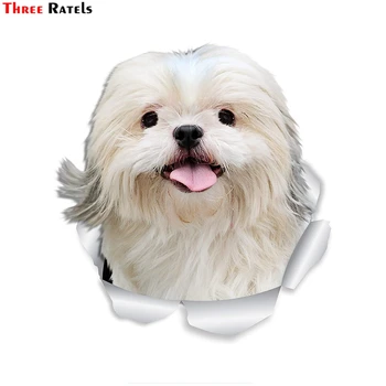 Three Ratels FC59 3D Bichon Frise Dog sticker for Auto Cars Trucks Windshield Custom Walls Windows Ipad MacBook Laptop Home
Three Ratels FC59 3D Bichon Frise Dog sticker for Auto Cars Trucks Windshield Custom Walls Windows Ipad MacBook Laptop Home