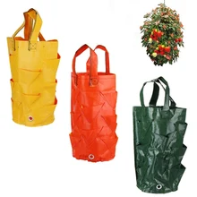 Strawberry Grow Bag 3 Gallon Planting Bag PE Nursing Pots with Handles Vegetable Grow Bag for Indoor/Outdoor Ship Fast delivery
Strawberry Grow Bag 3 Gallon Planting Bag PE Nursing Pots with Handles Vegetable Grow Bag for Indoor/Outdoor Ship Fast delivery