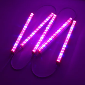 5PCS 30CM T5 LED Tube SMD5730 LED Grow Bar Rigid Strip Light Hydroponic Indoor Veg Flower Plant Lamp Kit
5PCS 30CM T5 LED Tube SMD5730 LED Grow Bar Rigid Strip Light Hydroponic Indoor Veg Flower Plant Lamp Kit