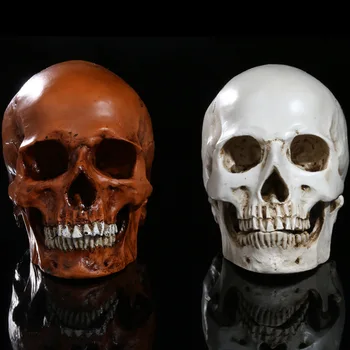 Halloween split skull bar creates an atmosphere of the skull and the image is realistic. Hand-carved home decoration ornaments
Halloween split skull bar creates an atmosphere of the skull and the image is realistic. Hand-carved home decoration ornaments