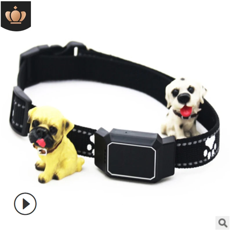 Pet Locator Cat Dog Lost-proof Collar GPS Locator Waterproof Voice Call Large And Medium-sized Dogs
Pet Locator Cat Dog Lost-proof Collar GPS Locator Waterproof Voice Call Large And Medium-sized Dogs