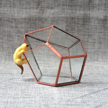 4 Pcs Glass Terrarium, 3D Geometric Hexagonal Shape Open Glass Geometric Terrarium for Tabletop Succulent Plant Box Planter
4 Pcs Glass Terrarium, 3D Geometric Hexagonal Shape Open Glass Geometric Terrarium for Tabletop Succulent Plant Box Planter