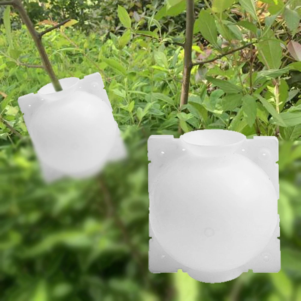 5 Pcs Useful Plant Grow Case Reusable Plant Flower Rooting Equipment High Pressure Box Botany Root Controller for Garden
5 Pcs Useful Plant Grow Case Reusable Plant Flower Rooting Equipment High Pressure Box Botany Root Controller for Garden