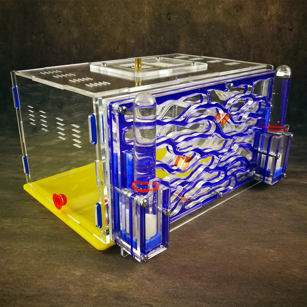 DIY Ant Nest Acrylic Ant Farm with Feeding Area Ants House Workshop Villa Insect Pet Anthill With 3 Layers Nest Design
DIY Ant Nest Acrylic Ant Farm with Feeding Area Ants House Workshop Villa Insect Pet Anthill With 3 Layers Nest Design