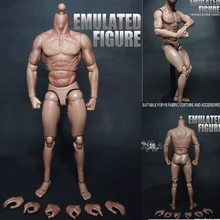1/6 Scale Model Muscular Figure Male Body Similar To TTM For 12 Inch Action Figure Toy Strong Body Doll Collection
1/6 Scale Model Muscular Figure Male Body Similar To TTM For 12 Inch Action Figure Toy Strong Body Doll Collection