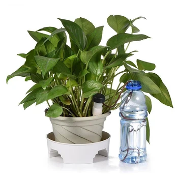 Automatic Irrigation Watering Device Spike for Plants Flower Household Auto Drip Garden Sprinkler Lawn Irrigation Drip
Automatic Irrigation Watering Device Spike for Plants Flower Household Auto Drip Garden Sprinkler Lawn Irrigation Drip