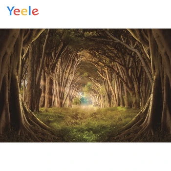 Vinyl Fairytale Wonderland Backdrops Mysterious Forest Prince Photography Personalized Photographic Background For Photo Studio 
Vinyl Fairytale Wonderland Backdrops Mysterious Forest Prince Photography Personalized Photographic Background For Photo Studio