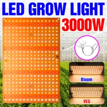 LED Full Spectrum Plant Light 220V LED Phyto Grow Lamp 2000W 3000W LED Greenhouse Quantum Board Planting Grow Hydroponic Light
LED Full Spectrum Plant Light 220V LED Phyto Grow Lamp 2000W 3000W LED Greenhouse Quantum Board Planting Grow Hydroponic Light