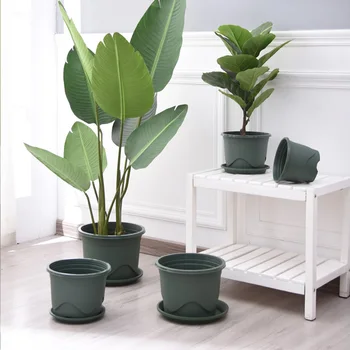 Tubby gallon basin rose control root seedling basin large extra-thick plastic flowerpot with tray
Tubby gallon basin rose control root seedling basin large extra-thick plastic flowerpot with tray
