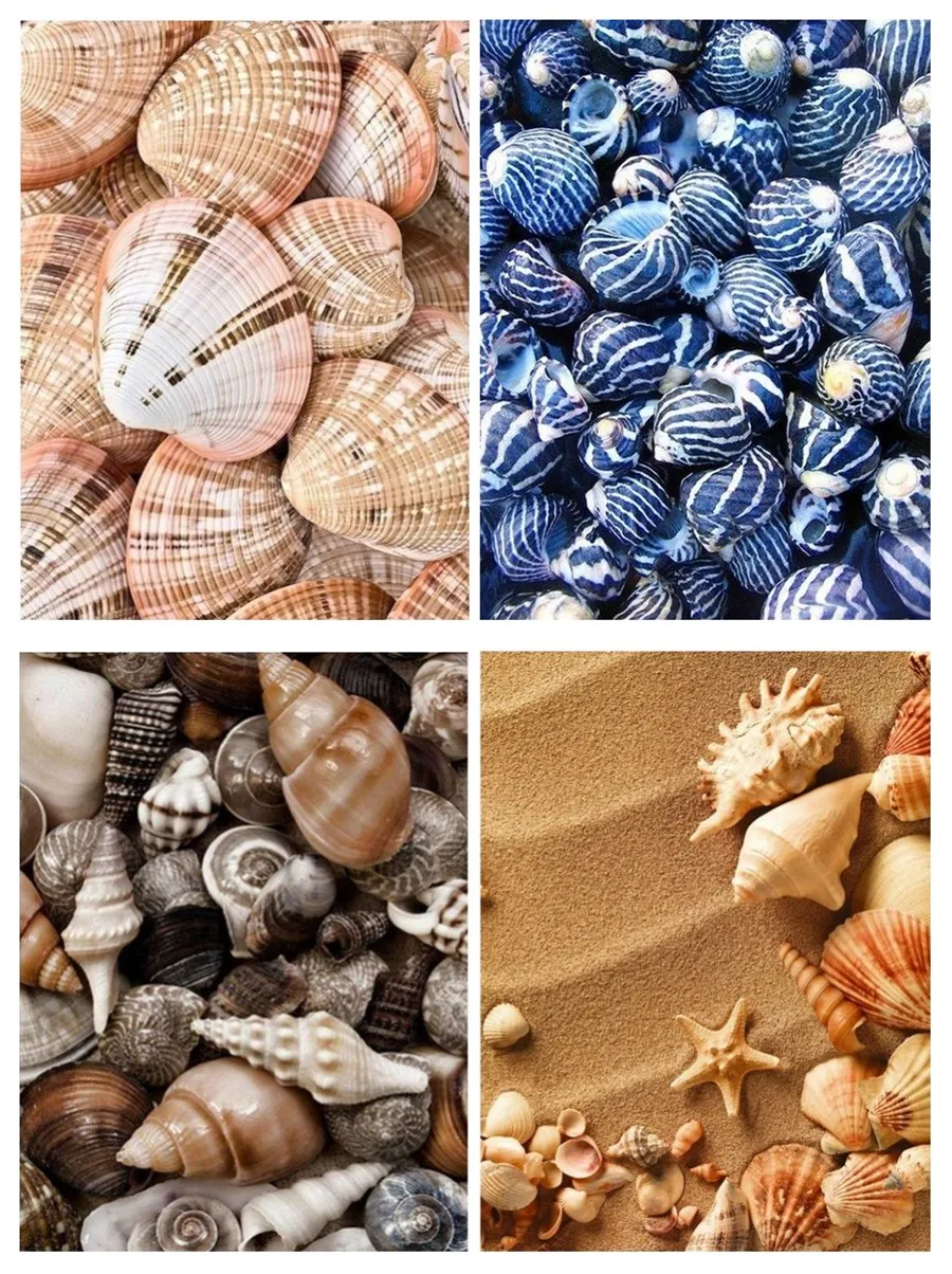 DIY Diamond Painting Scenery shell Cross Stitch Diamond Embroidery Needlework Craft Full Drill Home Decor
DIY Diamond Painting Scenery shell Cross Stitch Diamond Embroidery Needlework Craft Full Drill Home Decor