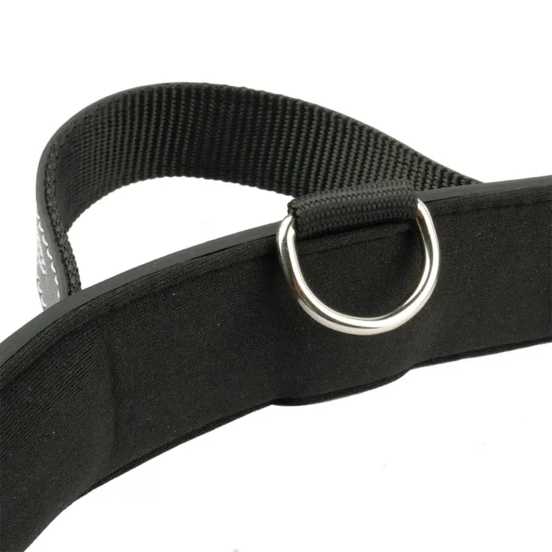 Leather Dog Collars Handle Control S/M/L Large Medium Dog Training Pit Bull 
Leather Dog Collars Handle Control S/M/L Large Medium Dog Training Pit Bull