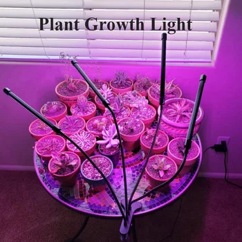 Full spectrum Indoor lighting plant LED bulb light 3/9/12H timer 9 adjustable smooth clip on stage plant growth garden lights
Full spectrum Indoor lighting plant LED bulb light 3/9/12H timer 9 adjustable smooth clip on stage plant growth garden lights
