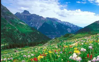 Simple Nesting Flowers Metal Cutting Dies cut die Scrapbooking Album DIY Card Craft Embossing
Simple Nesting Flowers Metal Cutting Dies cut die Scrapbooking Album DIY Card Craft Embossing