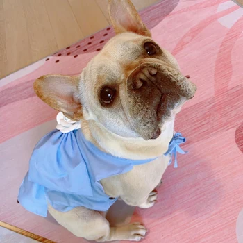 Summer Pet Dog Clothes Dress Sweety Princess Teddy Puppy Luxury Dresses Spring Fashion Dog Small Medium Dogs Pet Accessories
Summer Pet Dog Clothes Dress Sweety Princess Teddy Puppy Luxury Dresses Spring Fashion Dog Small Medium Dogs Pet Accessories