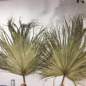 1PC Natural Dried Flowers Fan Large Sunflower Plant Leaf For DIY Wedding Party Home Decoration
1PC Natural Dried Flowers Fan Large Sunflower Plant Leaf For DIY Wedding Party Home Decoration