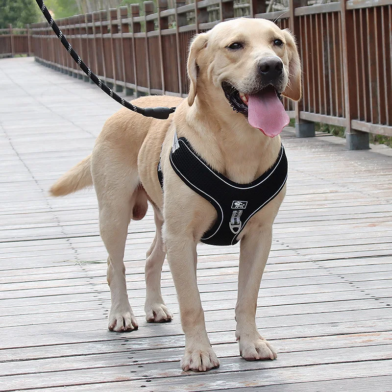 Reflective Dog Harness Leash Set Adjustable Harness Vest Outdoor Walking Safety Breathable Mesh Harness for Dogs Pet Supplies
Reflective Dog Harness Leash Set Adjustable Harness Vest Outdoor Walking Safety Breathable Mesh Harness for Dogs Pet Supplies