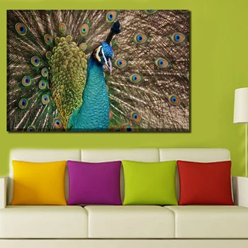 Home Decorative Canvas Painting 1 Piece Beautiful Peacock Animal Modular Pictures HD Printed Wall Artwokr Poster For Living Room 
Home Decorative Canvas Painting 1 Piece Beautiful Peacock Animal Modular Pictures HD Printed Wall Artwokr Poster For Living Room