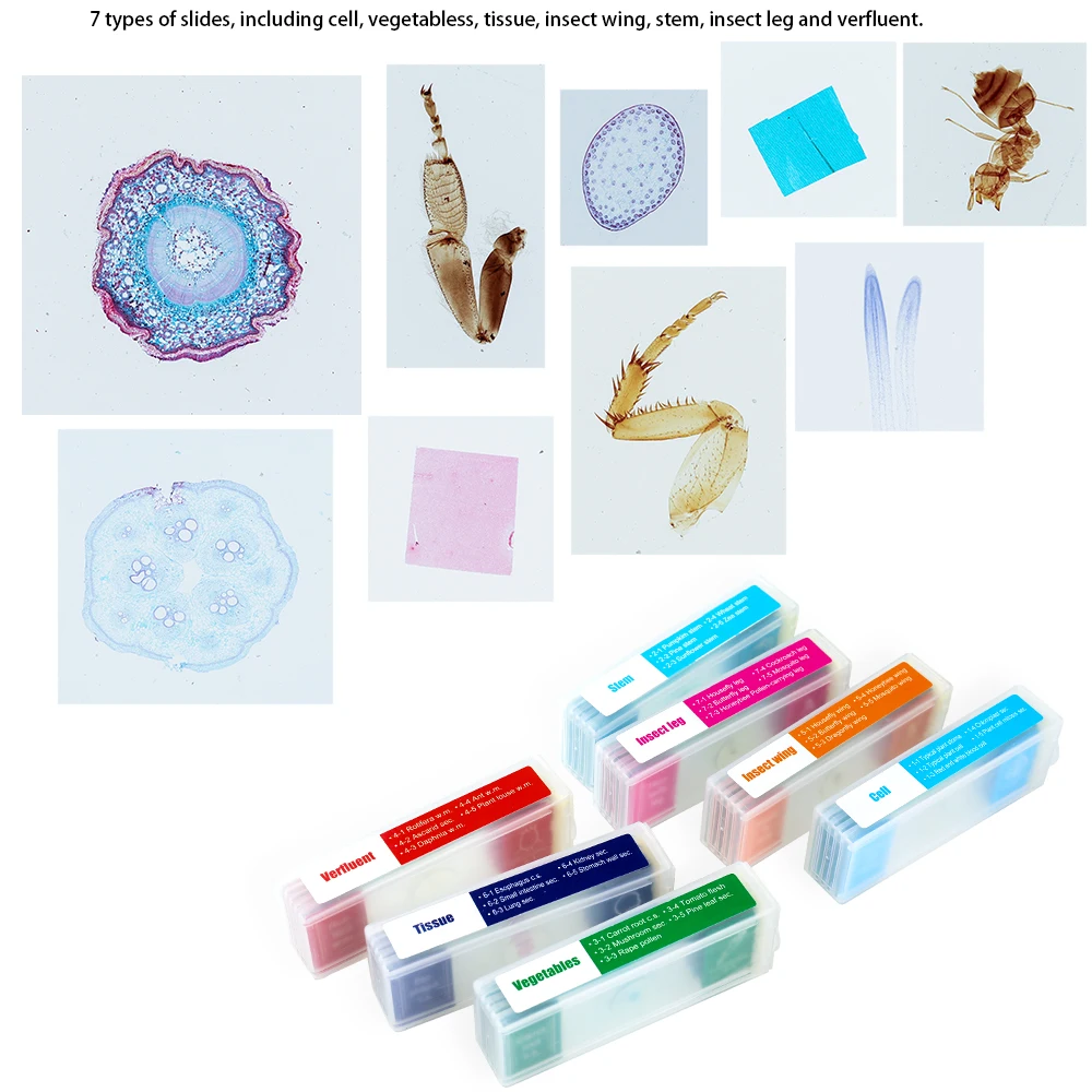 optical instruments microscopes  35 colorful prepared slides