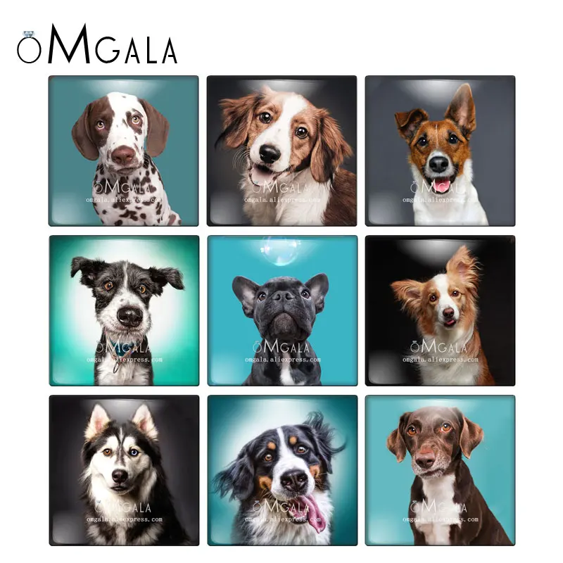 Lovely Pet Dogs Animal Patterns Square 10pcs mixed 12mm/20mm/25mm/30mm photo glass cabochon demo flat back Making findings
Lovely Pet Dogs Animal Patterns Square 10pcs mixed 12mm/20mm/25mm/30mm photo glass cabochon demo flat back Making findings