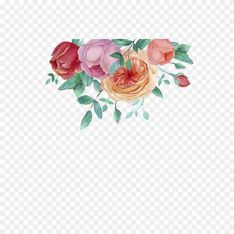 水彩画花园玫瑰.手绘水彩花卉装饰框架