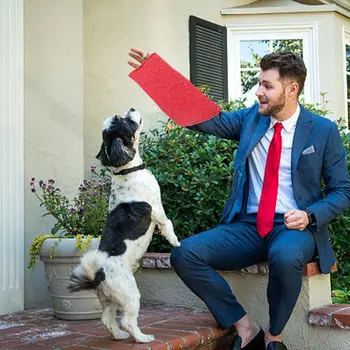 Thicken Professional Puppy Bit Training Arm Sleeve for Arm Protection Biting Pet Interactive for Dog Biting Playing Home
Thicken Professional Puppy Bit Training Arm Sleeve for Arm Protection Biting Pet Interactive for Dog Biting Playing Home