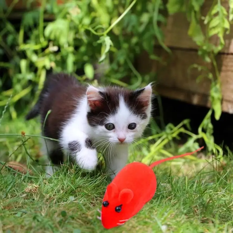 Creative Cat Toys Mini Sound Mouse Pet Kitten Toy Flocking Mouse Realistic Sound Plush Cat Rubber Interactive Toy