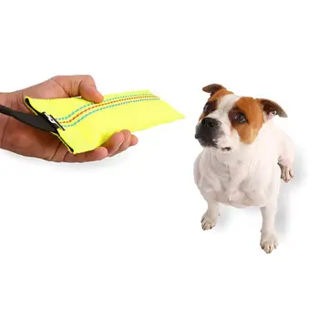 Robust Pet Bites Chew Stick with Handle In Fire Hose Pipes Dummy Floating Learning Roller Dog Biting Pudding Interactive Toy 
Robust Pet Bites Chew Stick with Handle In Fire Hose Pipes Dummy Floating Learning Roller Dog Biting Pudding Interactive Toy