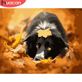 HUACAN DIY Pictures By Number Dog Kits Drawing On Canvas Painting By Numbers Animal Hand Painted Paintings Art Gift Home Decor
HUACAN DIY Pictures By Number Dog Kits Drawing On Canvas Painting By Numbers Animal Hand Painted Paintings Art Gift Home Decor