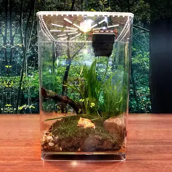 21.5cm*17.5cm*29.5cm Reptile Breeding Box Feeding Boxes Clear Acrylic Reptile Terrarium Feeding Box For Geckos Spiders
21.5cm*17.5cm*29.5cm Reptile Breeding Box Feeding Boxes Clear Acrylic Reptile Terrarium Feeding Box For Geckos Spiders