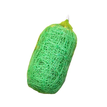 2MX10M Plant Climbing Net, Plant Supporting Vine Net, Climbing Garden Lattice Net, Used for Gardening Vine Fruit Flower 
2MX10M Plant Climbing Net, Plant Supporting Vine Net, Climbing Garden Lattice Net, Used for Gardening Vine Fruit Flower