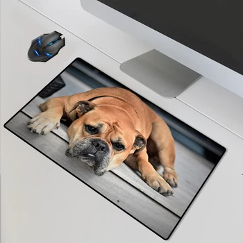 Yuzuoan Natural Rubber Non-slip Locking-edg Game Player Large Computer Mouse Pad Custom XXL Carpet Mat DIY Small LED Picture
Yuzuoan Natural Rubber Non-slip Locking-edg Game Player Large Computer Mouse Pad Custom XXL Carpet Mat DIY Small LED Picture