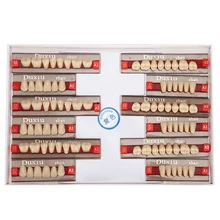 Dental Synthetic Synthetic Resin False Teeth Dental Material Teeth Denture Dentist Supplies For Making Denture Model Learning
Dental Synthetic Synthetic Resin False Teeth Dental Material Teeth Denture Dentist Supplies For Making Denture Model Learning