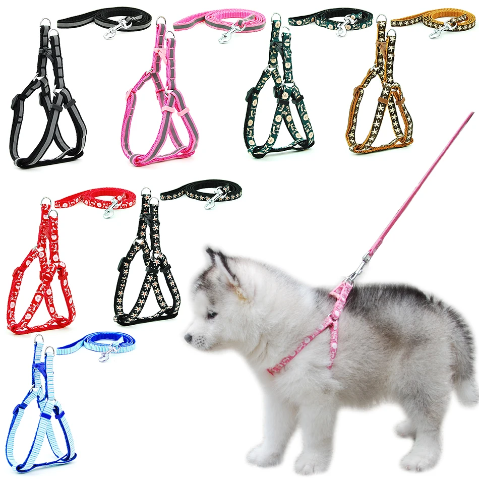Sportsheets collar leash review best adult free compilations