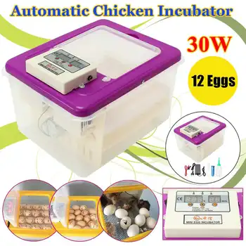 220V 30W Eggs Incubator Brooder Bird Quail Incubator Chick Hatchery Incubator Poultry Hatcher Automatic Farm Incubation Tools
220V 30W Eggs Incubator Brooder Bird Quail Incubator Chick Hatchery Incubator Poultry Hatcher Automatic Farm Incubation Tools